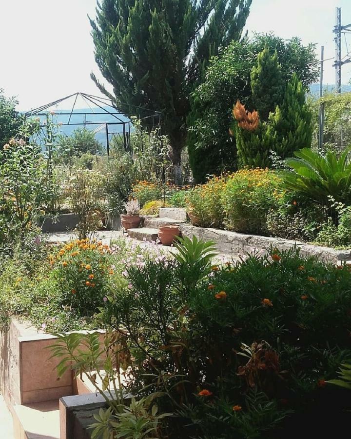 Plaza Studios Лептокария Екстериор снимка